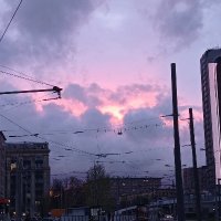 Nohow (@g0ldjustgold) 's Twitter Profile
