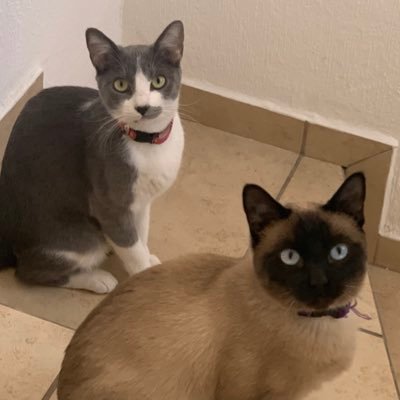 DanyHare's profile picture. 