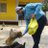 Biswaji26303533's profile image
