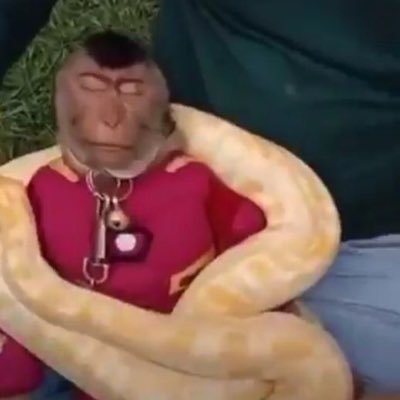 42011111a's profile picture. alguien que me quiere mucho