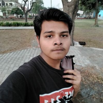 AnshuAzadsingh Profile Picture