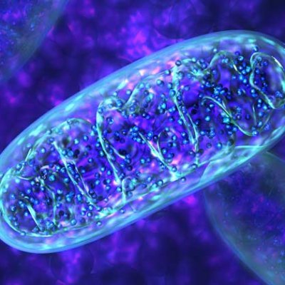 News, events, conferences, and groundbreaking novelties in mitochondrial physiology. Managed by @jiglesias321. #mitochondria #metabolism #physiology