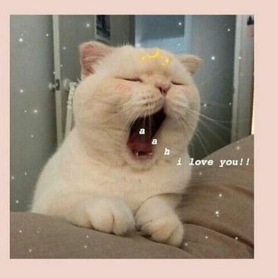 sasa_xxj's profile picture. ささ(Sasa).インドネシアの学生。将来の夢：日本。モットー：失敗しても死ぬまで学ぶ •,  #studytwt