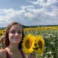 Krista B (@kristaber) 's Twitter Profile