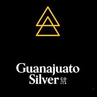 Guanajuato Silver Company Ltd.🇲🇽(@GSilver_co) 's Twitter Profileg