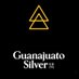 Guanajuato Silver Company Ltd.🇲🇽 (@GSilver_co) Twitter profile photo