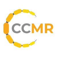 Cambridge Centre for Myelin Repair (CCMR)(@CentreMyelin) 's Twitter Profile Photo