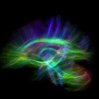 Mohammad Hadi Aarabi PhD (@mohammadhadiara) 's Twitter Profile