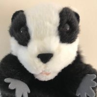 Behind every cloud (@behindeveryclo1) 's Twitter Profile