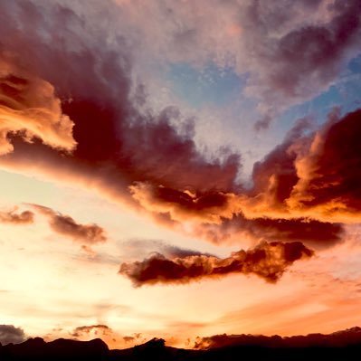 LoJolly's profile picture. கறி சோறு - இசை - கவுண்டமணி - புத்தகங்கள் 📚காடுகளின் காதலன் 🌳 let’s Spread only love ❤️ Now Reading - கிடை - கி ராஜநாராயணன்