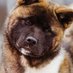 Gerrit van der Ploeg (@gerrit_vd_ploeg) Twitter profile photo Gerrit van der Ploeg (@gerrit_vd_ploeg) Twitter profile photo