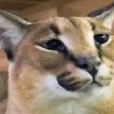 Top Five Hundred https://t.co/wOhGmd2b6D Player
OSRS enjoyer