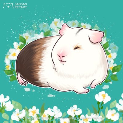 🐹🐷 
我是Tammy，天竺鼠繪師，委託請來訊。
I'm Tammy, #guineapig #モルモット illustrator. DM fro commission.