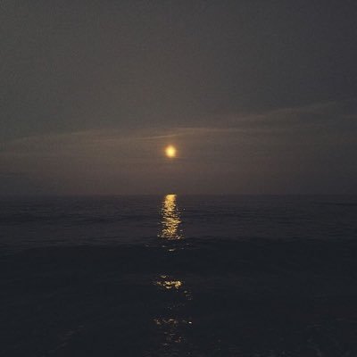 🌌さんのプロフィール画像