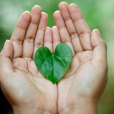 Todaystopic120's profile picture. Urban Rain Gardens