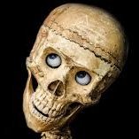 CigarHangout's profile picture. Blogger