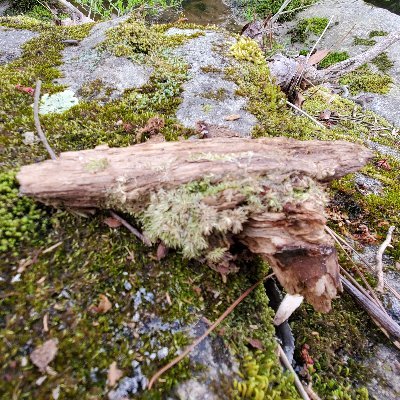 Creamy03837659's profile picture. Woah