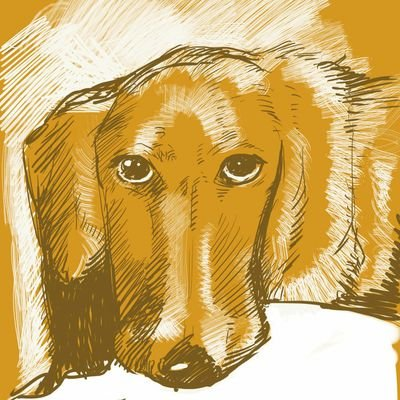 fumufumu0513's profile picture. 
