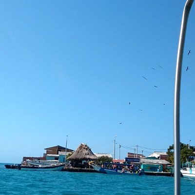 rioja205's profile picture. 