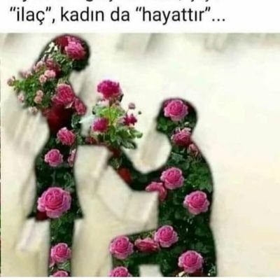Mustafa59418017's profile picture.