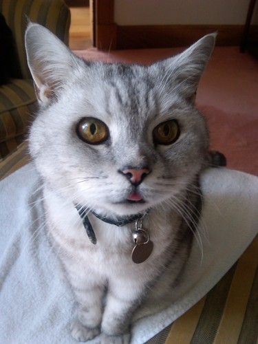 ann_500b's profile picture. I work with flowers every day... surrounded by the most wonderful scents, sights and colours....