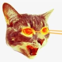 Wilson (@damon_macd) 's Twitter Profile