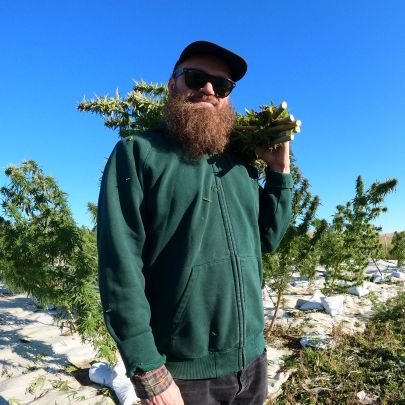 Jeg sælger hamp i form af topskud og klumper. Bæredygtigt fremstillet kvalitets hamp med masser af CBD, CBG, diverse terpener osv. Og lovligt.