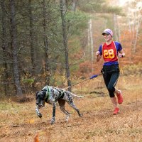 Sarah Warford (@thatdogrunner) 's Twitter Profile Photo Sarah Warford (@thatdogrunner) 's Twitter Profile Photo