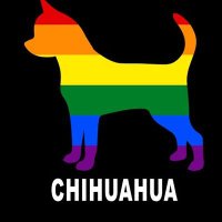 Encuentro👥 Gay 🏳️🌈Chihuahua (@encuentrogaycuu) 's Twitter Profile