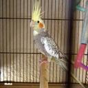 Iris Nelson - @TNB09 - Twitter