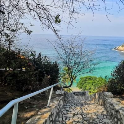 SoniaTorresOrt7's profile picture. Sony