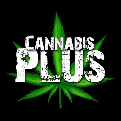 Stay-at-Home Dad | Foodie | DayZ Obsessed | Modder | Business email: cannabisplusdayz@gmail.com