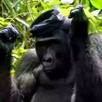 Sincerely Syncere (@scuttle0864) 's Twitter Profile