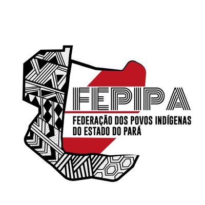 Desde 2016 a Federação dos Povos Indígenas do Estado do Pará garante respeito à diversidade sociocultural e ao protagonismo de 70 #PovosIndígenasDoPará