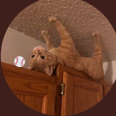 Former cat of Freddie Freeman. Inning eater. Catnip Sommelier. Choose your temples of fanaticism wisely.