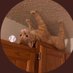 Feral Freddie’s Gato ⚾️ (@freddiesgato) Twitter profile photo Feral Freddie’s Gato ⚾️ (@freddiesgato) Twitter profile photo