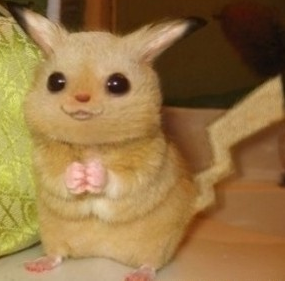 VincentGong2012's profile picture. ·