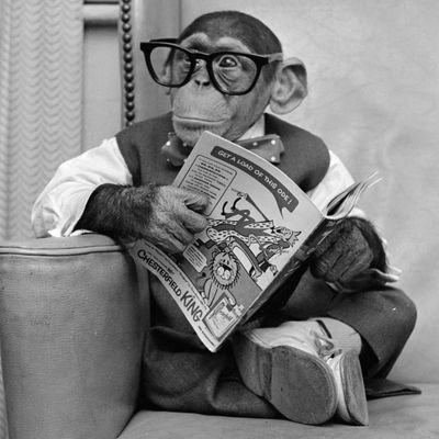 BooksMonkey's profile picture. Books, science, innovation.