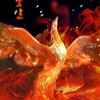 finetime（互fo互fo） (@finetime999) 's Twitter Profile