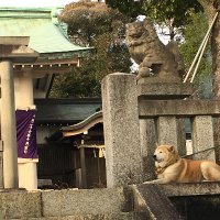 Munekazu Motoyama (@munekazu1) 's Twitter Profile