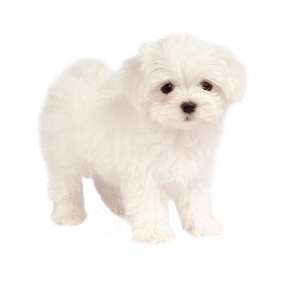 tiny_ric's profile picture. just #ERIC on my mind rant free