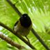 School of Biological Sciences, Auckland Uni (@biology_uoa) Twitter profile photo School of Biological Sciences, Auckland Uni (@biology_uoa) Twitter profile photo
