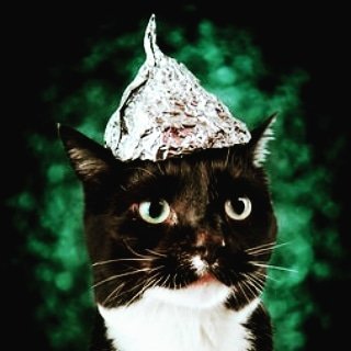 Cat in a Tin Foil Hat