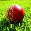 Probably the best cricket club in New Zealand!