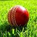 Heathcote Cricket (@nzcricketclub) Twitter profile photo