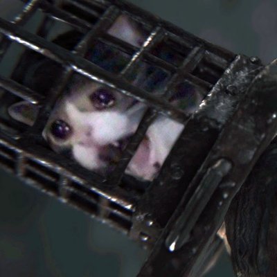 GodNgine's profile picture. she/her | irl trashcan
freelance artist | will work for beer
infinite chaotic energy