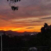 Ccperez (@ccperez75) 's Twitter Profile