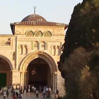 Foad arar (@foad14879800) 's Twitter Profile