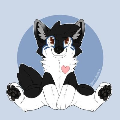 Male - 23 - Gay🏳🌈 - 🇩🇪🇮🇩 - 🐺Wolf🐺 - Admin @FurryValley - Open for DMs ❤️🖤 -