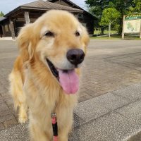 るーRIKA (@wanwan_barry) 's Twitter Profile